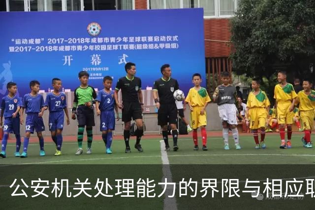 公安机关处理能力的界限与相应职能