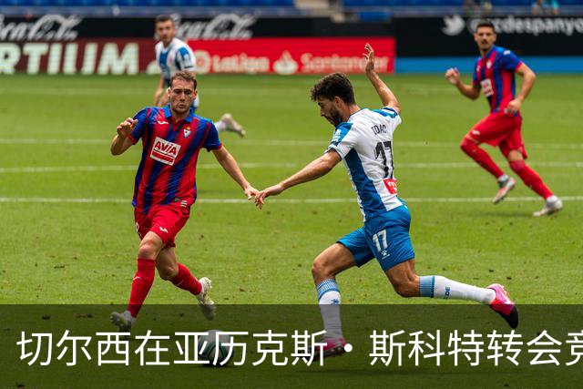 切尔西在亚历克斯·斯科特转会竞争中占据优势